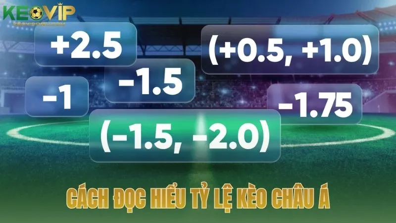 Cách đọc hiểu tỷ lệ kèo Châu Á