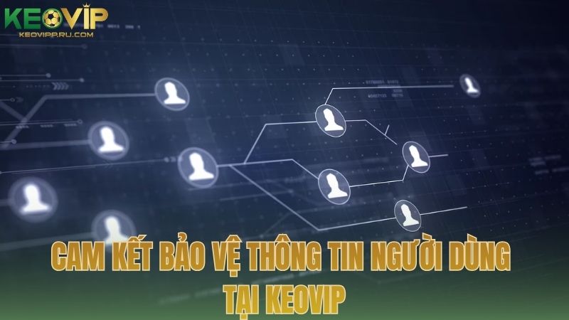 Cam kết bảo vệ thông tin người dùng tại KEOVIP