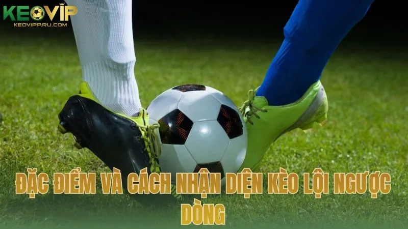 Đặc điểm và cách nhận diện kèo cược đội lội ngược dòng