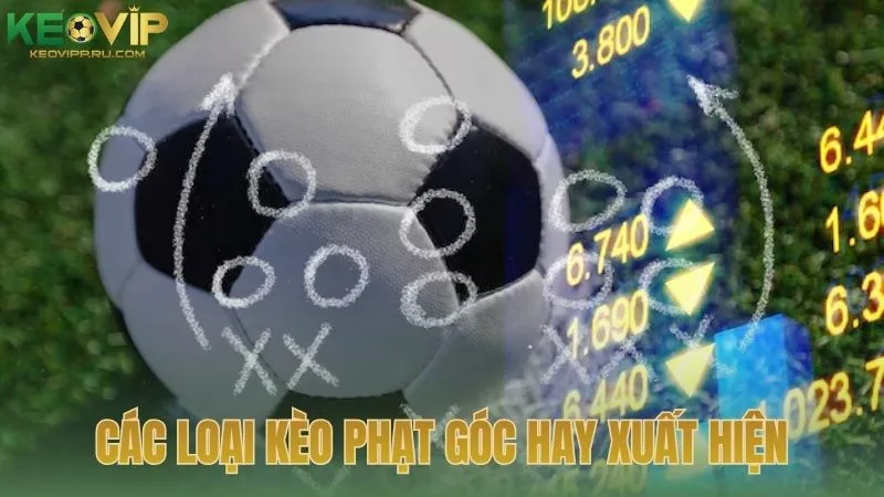 Điểm danh những loại kèo phạt góc hay xuất hiện