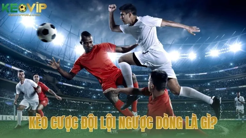 Hiểu thế nào về kèo cược đội lội ngược dòng?