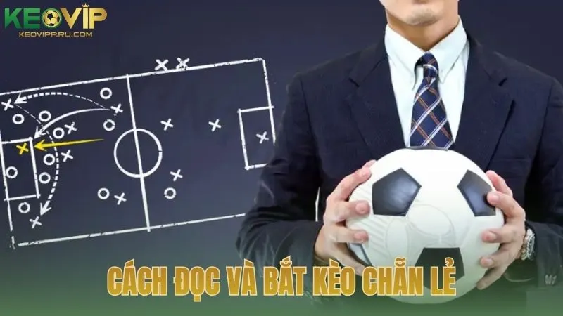 Hướng dẫn cách đọc và bắt kèo chẵn lẻ từ các chuyên gia