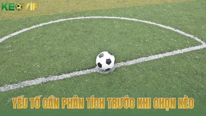 Những yếu tố thường được phân tích trước khi chọn kèo