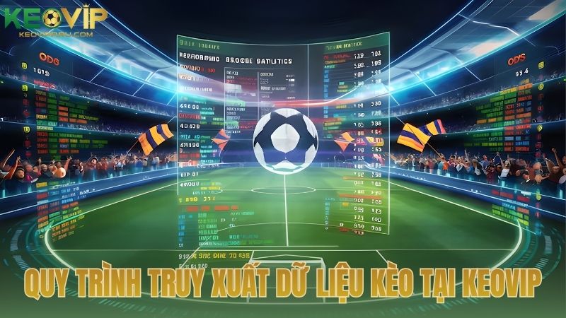 Quy trình truy xuất dữ liệu kèo nhà cái tại KEOVIP