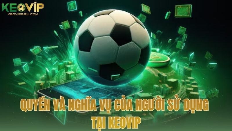 Quyền và nghĩa vụ của người sử dụng tại KEOVIP