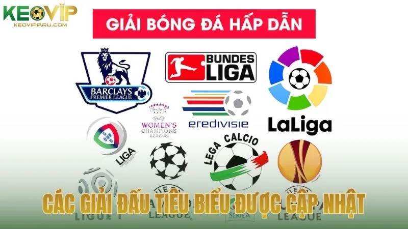 Các giải đấu tiêu biểu được cập nhật thường xuyên tại Bảng Xếp Hạng KEOVIP