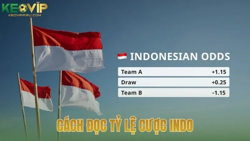 Cách đọc tỷ lệ cược Indo