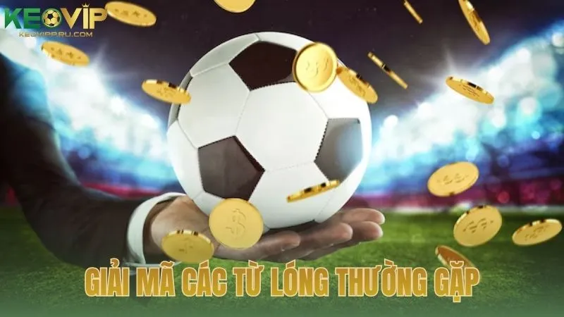 Giải mã các từ lóng thường gặp trong cộng đồng cá độ