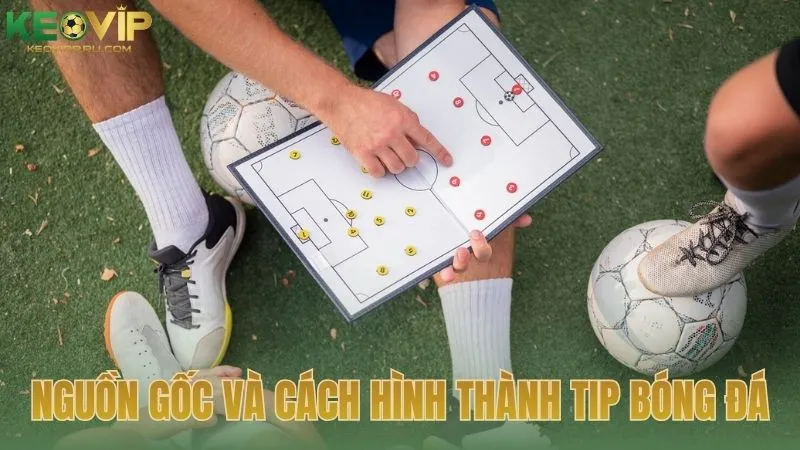 Nguồn gốc và cách hình thành tip bóng đá