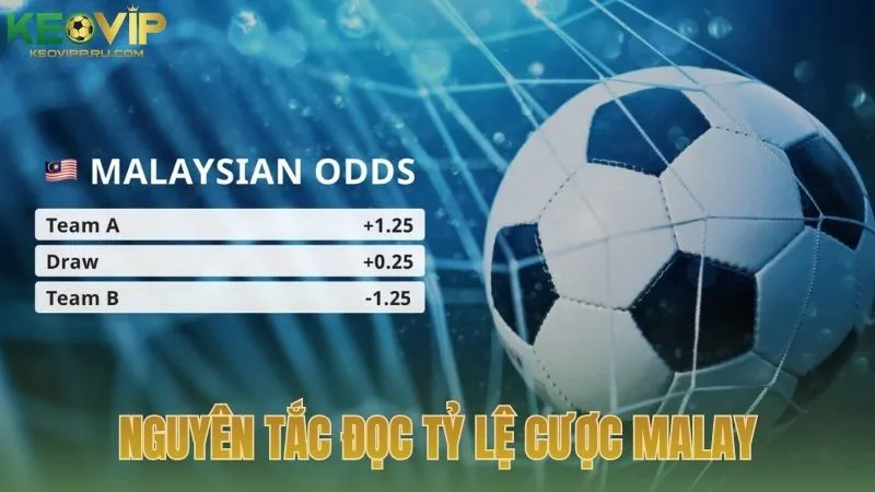 Nguyên tắc đọc tỷ lệ cược Malay