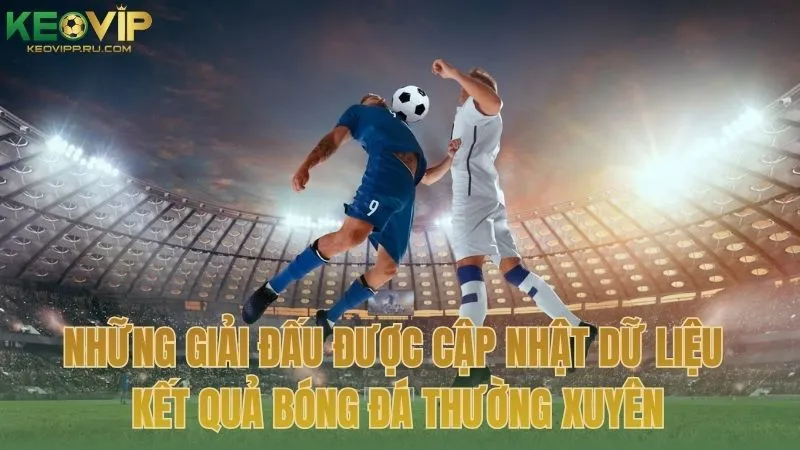 Những giải đấu được cập nhật dữ liệu kết quả bóng đá thường xuyên