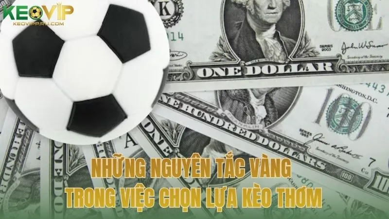Những nguyên tắc vàng trong việc chọn lựa kèo thơm