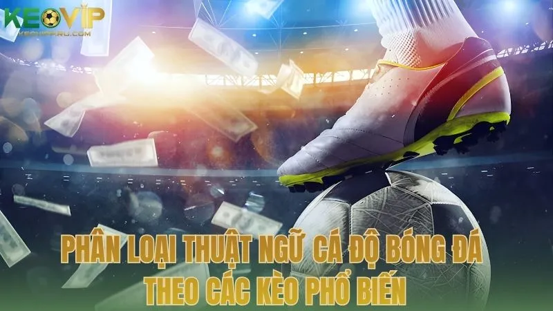 Phân loại thuật ngữ cá độ bóng đá theo các kèo phổ biến