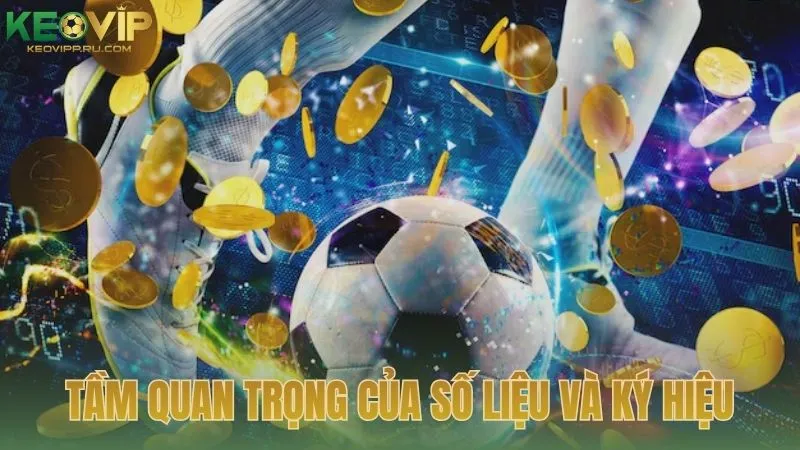 Tầm quan trọng của số liệu và ký hiệu trong thuật ngữ cá độ bóng đá