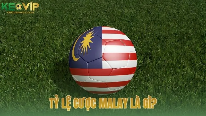 Tỷ lệ cược Malay là gì?