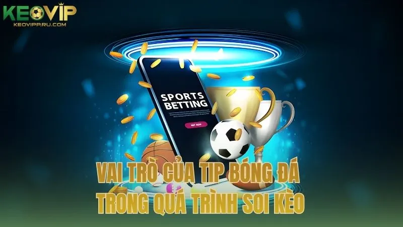 Vai trò của tip bóng đá trong quá trình soi kèo