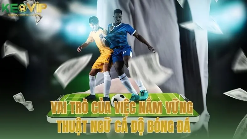 Vai trò của việc nắm vững thuật ngữ cá độ bóng đá