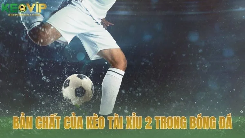 Bản chất của kèo tài xỉu 2 trong bóng đá