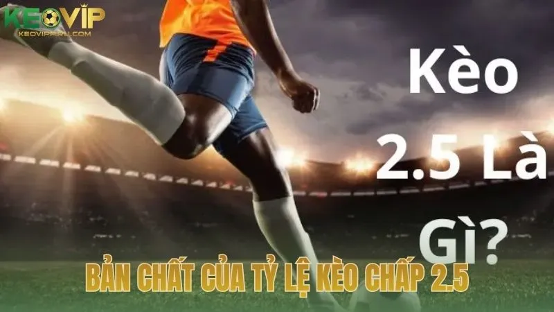 Bản chất của tỷ lệ kèo chấp 2.5 trong cá cược