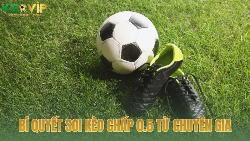 Bí quyết soi kèo chấp 0.5 từ chuyên gia KEOVIP