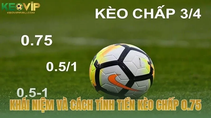 Khái niệm và cách tính tiền khi chơi kèo chấp 0.75