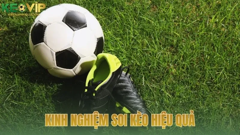 Kinh nghiệm soi kèo hiệu quả giúp tối ưu lợi nhuận