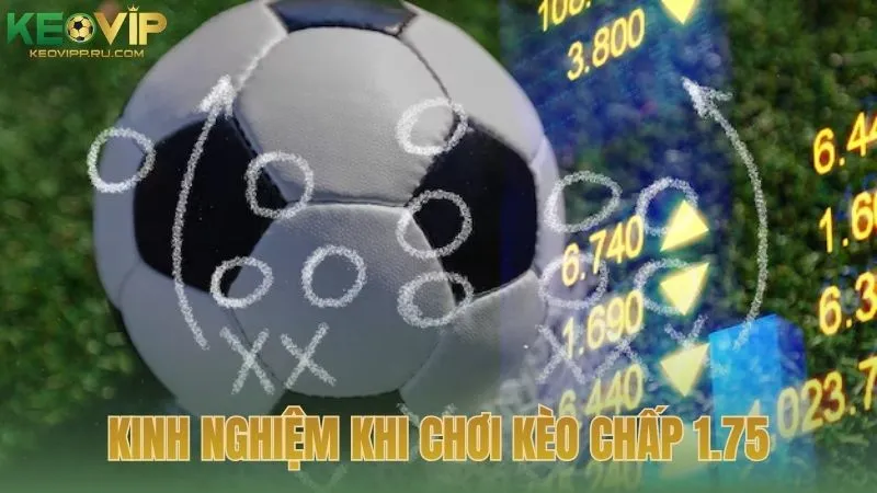 Kinh nghiệm từ cao thủ khi đối diện với kèo chấp 1.75