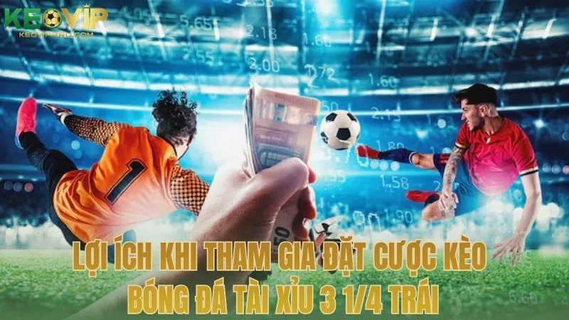 Lợi ích khi tham gia đặt cược kèo bóng đá tài xỉu 3 1/4 trái