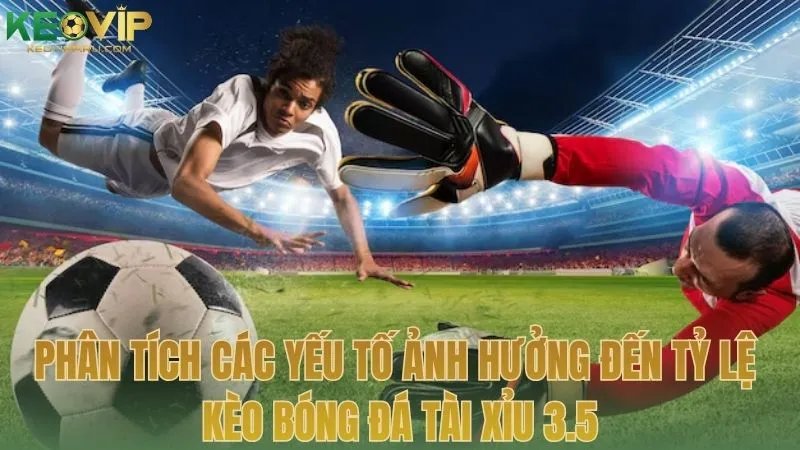 Phân tích các yếu tố ảnh hưởng đến tỷ lệ kèo bóng đá tài xỉu 3.5