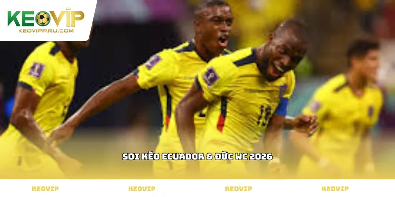 soi kèo Ecuador & Đức WC 2026