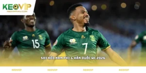 soi kèo Nam Phi & Hàn Quốc WC 2026
