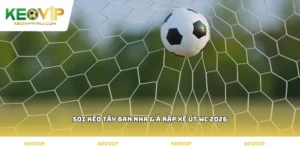 soi kèo Tây Ban Nha & Ả Rập Xê Út WC 2026